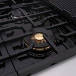 Akicon 48" Gas Range with Double Oven & Griddle