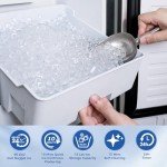 Electactic Nugget Ice Maker, 66Lbs/Day, Stainless Steel