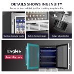 Icyglee 24-Inch Built-In Beverage Refrigerator