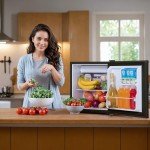Compact Mini Fridge with Freezer and Low Noise