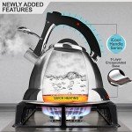 Pykal 3 Quart Whistling Tea Kettle with Infusers