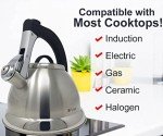 Pykal 3 Quart Whistling Tea Kettle with Infusers