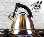 Pykal 3 Quart Whistling Tea Kettle with Infusers