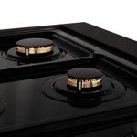ZLINE 48" Black Stainless Steel Gas Rangetop