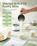 Maestri House 4-in-1 Electric Milk Frother