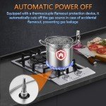 12-Inch Dual Burner Gas Cooktop, Stainless Steel