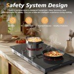Disaenvir 2 Burner Electric Cooktop 24 Inch