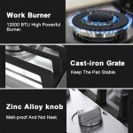12-Inch Dual Burner Gas Cooktop, Stainless Steel