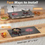 Disaenvir 2 Burner Electric Cooktop 24 Inch