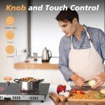 Disaenvir 2 Burner Electric Cooktop 24 Inch