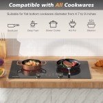 Disaenvir 2 Burner Electric Cooktop 24 Inch