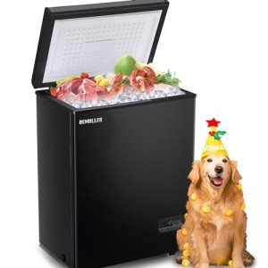 Demuller 3.5 Cu.ft Compact Chest Freezer - Black