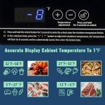 Demuller 3.5 Cu.ft Compact Chest Freezer - Black