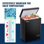 Demuller 3.5 Cu.ft Compact Chest Freezer - Black