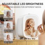LIGIANT Mini Skincare Fridge with LED Mirror
