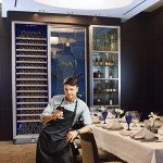 BODEGA 24 Inch Large Capacity Wine Cooler