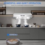 Tieasy 30" Stainless Steel Under Cabinet Range Hood