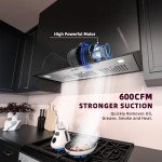 FIREGAS 36-Inch Range Hood Insert - 600 CFM