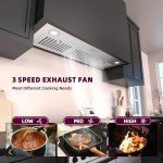 FIREGAS 36-Inch Range Hood Insert - 600 CFM