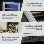 KingChii 12-Inch Dual Zone Wine Cooler Refrigerator