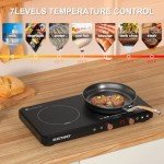 Portable Induction Cooktop with Removable Griddle Pan