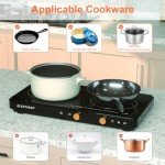 Portable Induction Cooktop with Removable Griddle Pan