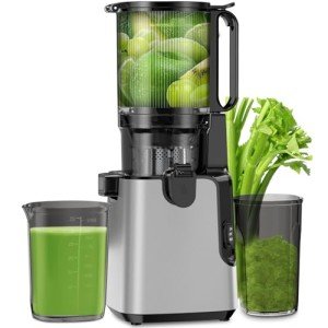 Extra Large Cold Press Juicer for Whole Fruits