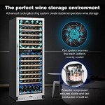 Tylza 24" Dual Zone Wine Cooler Refrigerator