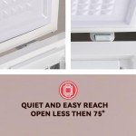 5.0 Cu.Ft WANAI Chest Freezer with Removable Basket