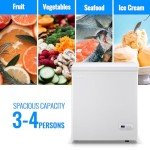 Demuller 4.0 CU. FT Ultra-Low Chest Freezer