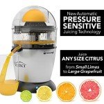 Vinci Electric Citrus Juicer with One-Button Press