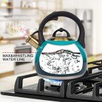 Stovetop Whistling Tea Kettle, 3.1 Quart