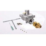 Deli-kit® 24” Dual Fuel Gas Cooktop 4 Burners