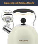 2 Quart Stainless Steel Whistling Tea Kettle