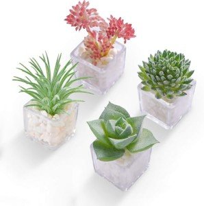 Adorable 4-Piece 3D Succulent Fridge Magnet Set
