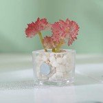 Adorable 4-Piece 3D Succulent Fridge Magnet Set