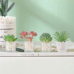 Adorable 4-Piece 3D Succulent Fridge Magnet Set
