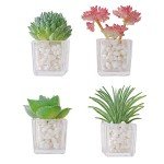 Adorable 4-Piece 3D Succulent Fridge Magnet Set