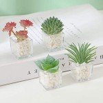 Adorable 4-Piece 3D Succulent Fridge Magnet Set