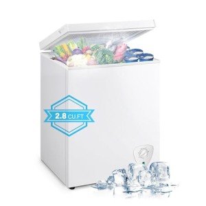 Rosmena 2.8 Cu. Ft. Compact Chest Freezer with Basket
