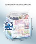 Rosmena 2.8 Cu. Ft. Compact Chest Freezer with Basket