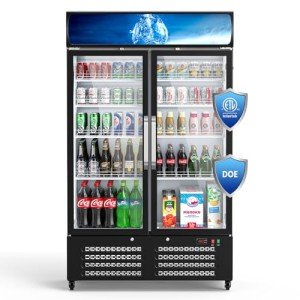 Mojgar 28 Cu Ft Commercial Glass Door Refrigerator