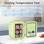 YASHE 4L Mini Fridge for Bedroom and Car
