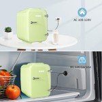 YASHE 4L Mini Fridge for Bedroom and Car