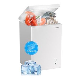 BANGSON 3.5 Cu.Ft. Chest Freezer with Basket