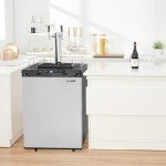 VEVOR Dual Tap Beer Kegerator and Dispenser
