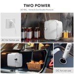 Portable Mini Fridge for Skincare and Drinks