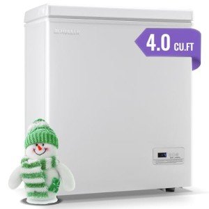 DEMUELLER 4.0 Cu Ft Deep Chest Freezer