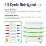 DEMUELLER 4.0 Cu Ft Deep Chest Freezer