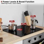 30" Karinear Induction Cooktop with Touch Control